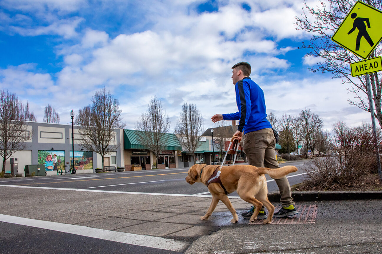 Dog Training