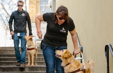 Ask the Trainer: Help Training a Blind Dog - The Dogington Post