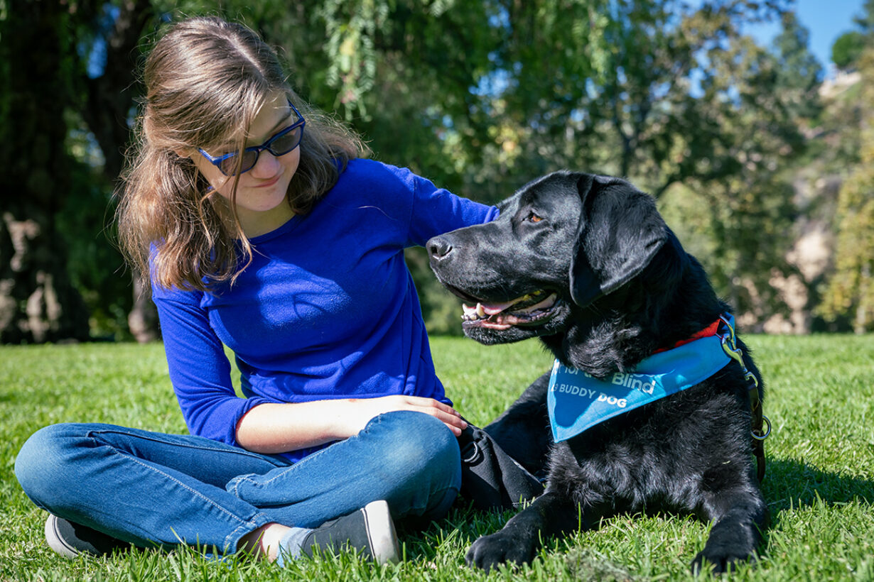 Guide Dog Experience Day  Guide Dogs for the Blind