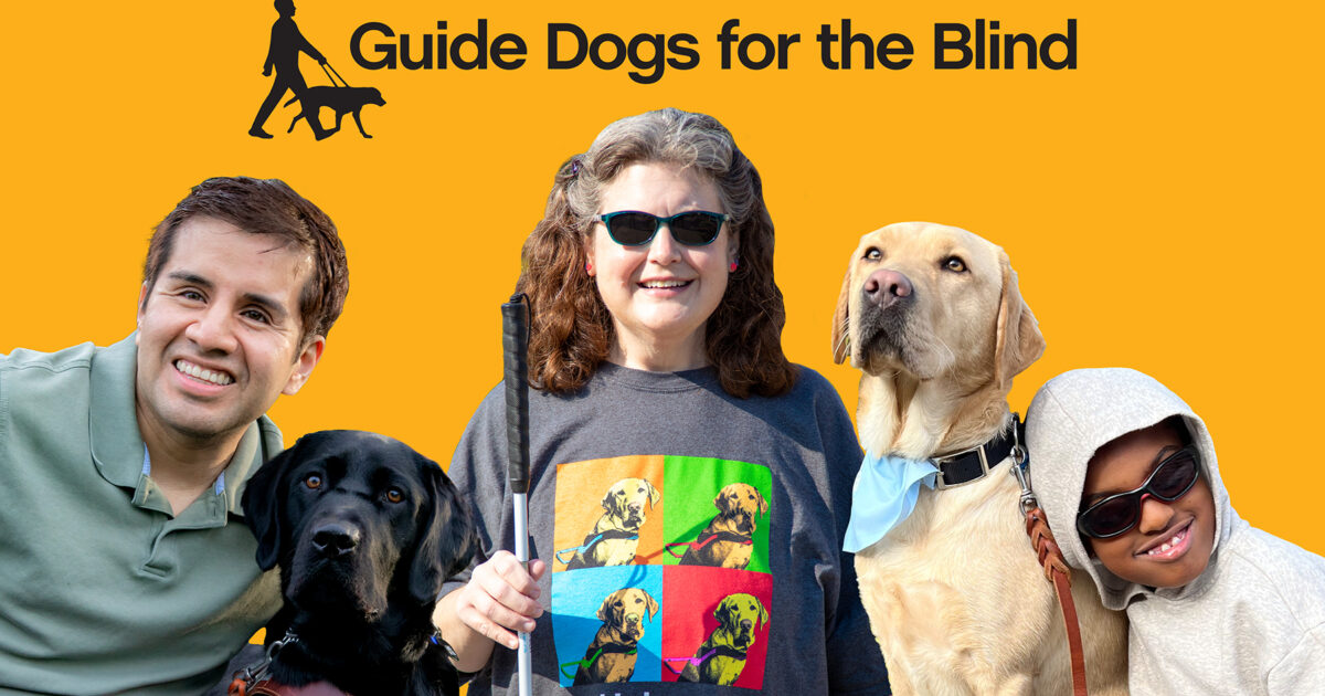 Dog for blind person sales price